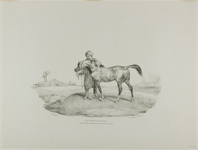 Un cheval arabe, planche 8 de divers sujets dessinés d