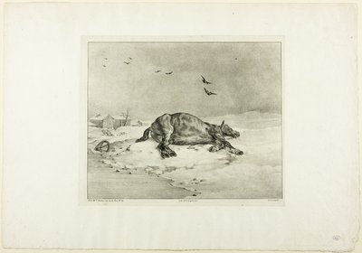 Cheval mort - Jean Louis André Théodore Géricault