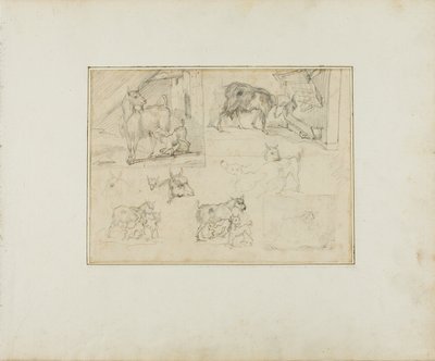 Croquis de chèvres - Jean Louis André Théodore Géricault