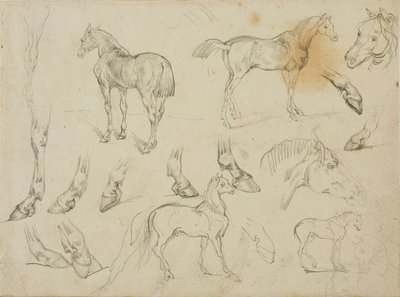 Croquis d