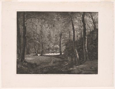 La forêt de Rochecardon - Jean Michel Grobon