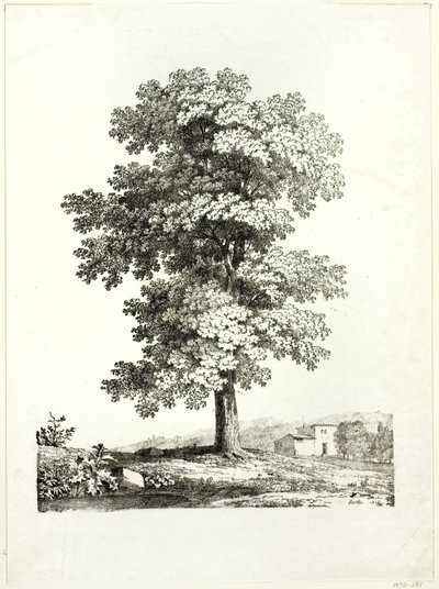 Étude d
