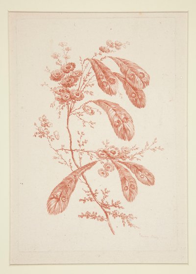 Sans titre (Fleurs idéales), d