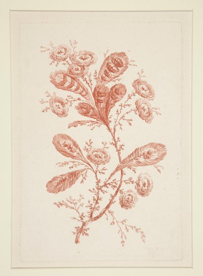 Sans titre (Fleurs Idéales), d
