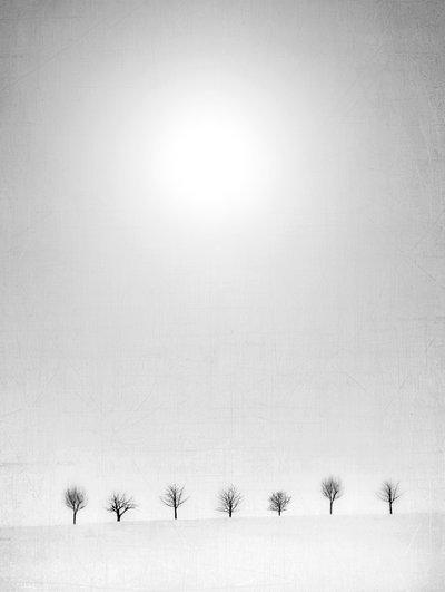  - Jeffrey Hummel