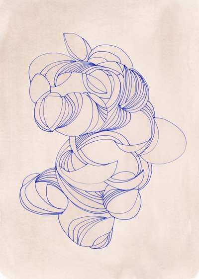 Curves Bleu Bio - Jenja Braun