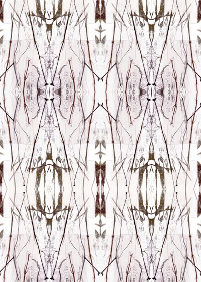 Motif naturel symétrique - Jenja Braun