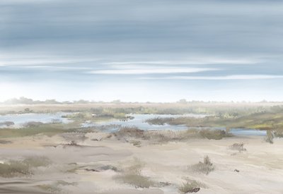 Paysage de marais brumeux - Jenna Alheit