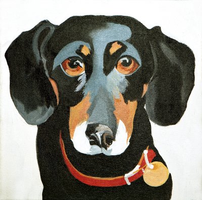 Buster, 2012 (acrylique sur toile) - Jennifer Abbott