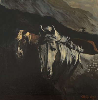 Poneys de montagne - Jennifer Wright