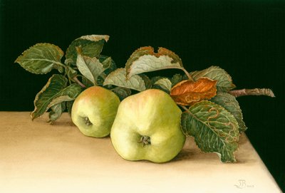 Bramleys - Jenny Barron