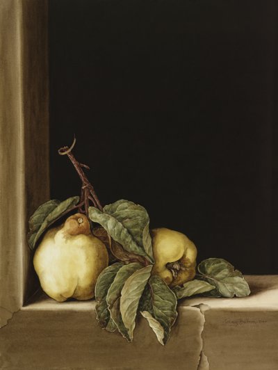 Coings - Jenny Barron