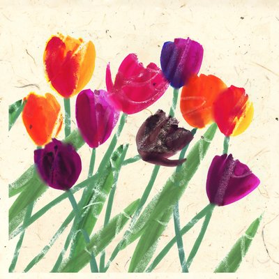Beautés hollandaises - Jenny Frean