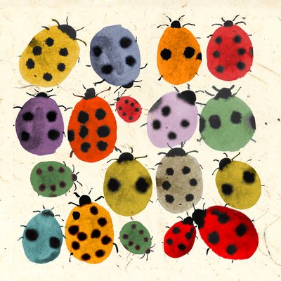 Coccinelles encreuses, 2022 - Jenny Frean