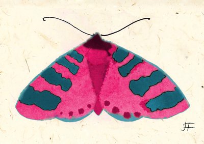 Pink Moth, 2024 (aquarelle sur papier) - Jenny Frean