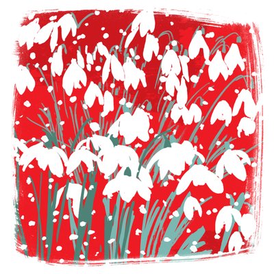 Perce-neige - Jenny Frean