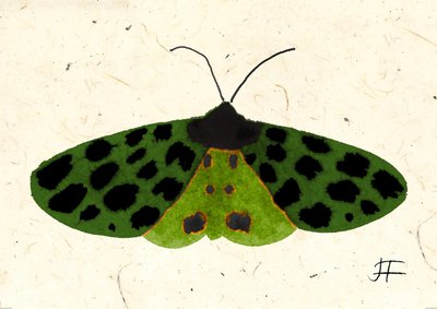 Tiger Moth, 2024 (aquarelle sur papier) - Jenny Frean