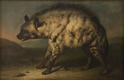 La hyène dans la ménagerie au château de Frederiksberg - Jens Juel