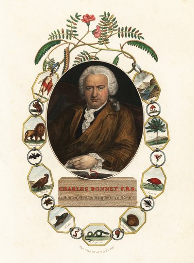 Portrait de Charles Bonnet, naturaliste genevois - Jens Juel