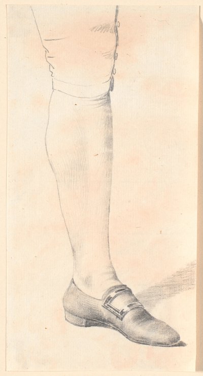 Étude de la jambe gauche d