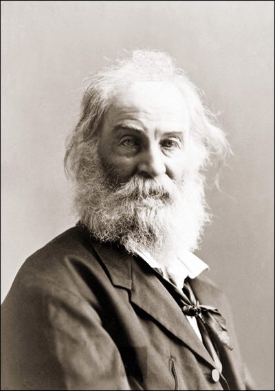 Portrait de Walt Whitman (1819 - 1892) par Gurney entre 1880 et 1890 - Jeremiah Gurney