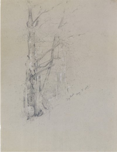 Ruisseau sec, 1888 - Jervis McEntee