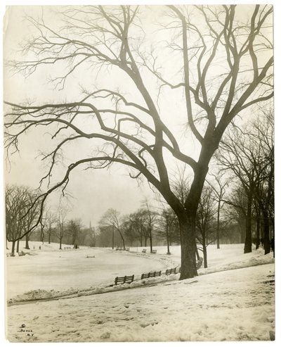 Boston Common et étang aux grenouilles, près de l