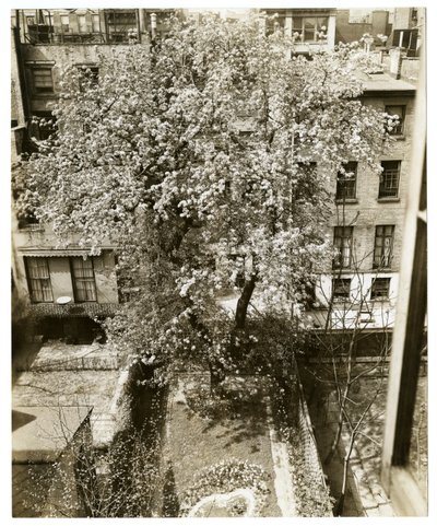 Mme W H Wells 265 W 11th - Jessie Tarbox Beals