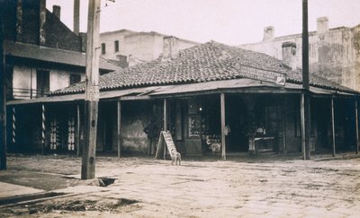 Nouvelle-Orléans - Jessie Tarbox Beals