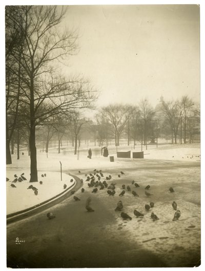 Un froid inhabituel dans le Common, Boston, USA, vers 1902-10 - Jessie Tarbox Beals