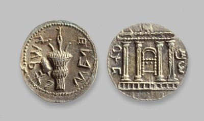 Pièces de monnaie Selah de la révolte de Bar Kochba, 134 apr. J.-C. - Jewish School
