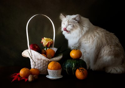  - Jie Fischer