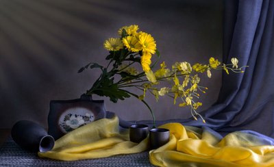  - Jie Fischer