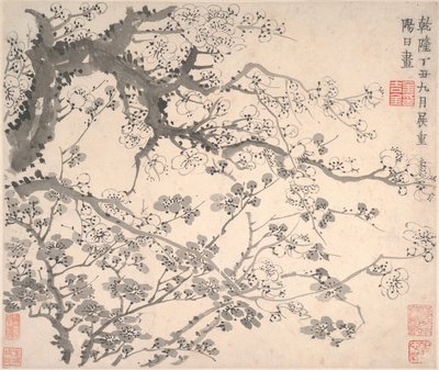 Fleurs de prunier - Jin Nong