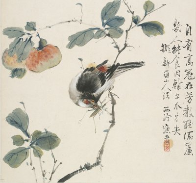 Un Hwamei chinois mangeant une sauterelle - Jin Yuan