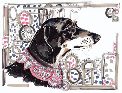 Lacey le teckel, 2013 - Jo Chambers