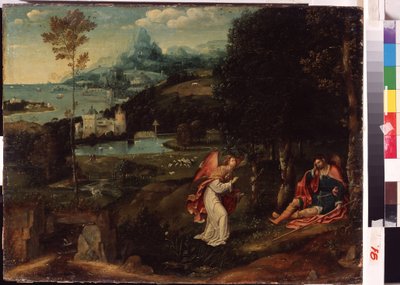 Paysage avec saint Roch - Joachim Patinir