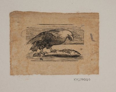 Un aigle - Joakim Frederik Skovgaard
