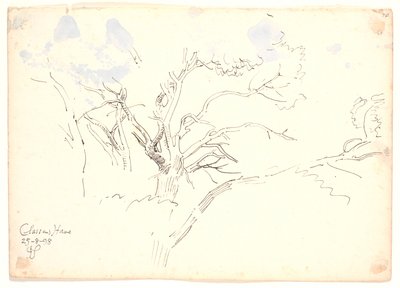 Études de branches. Jardin de Classen - Joakim Frederik Skovgaard