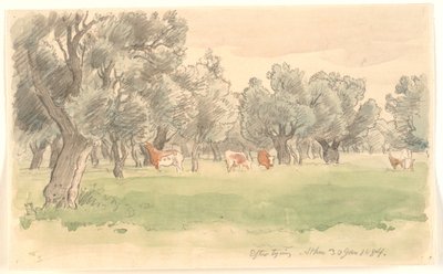 Paysage grec avec oliviers et bétail paissant - Joakim Frederik Skovgaard