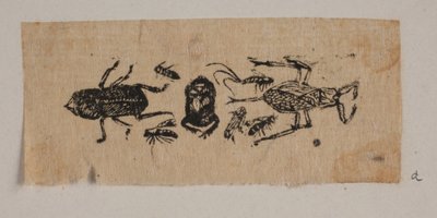 Insecte - Joakim Frederik Skovgaard