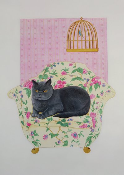 Bleu britannique - Joan Freestone
