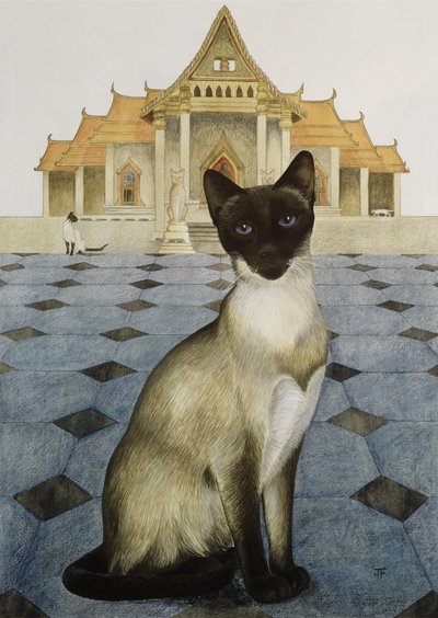 Siamois - Joan Freestone