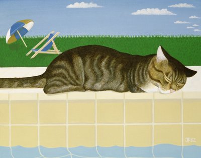 Chat tigré près d
