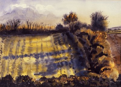 Champ avec longues ombres, 1990 - Joan Thewsey