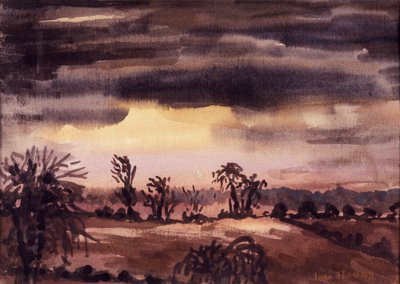 Champs au crépuscule d