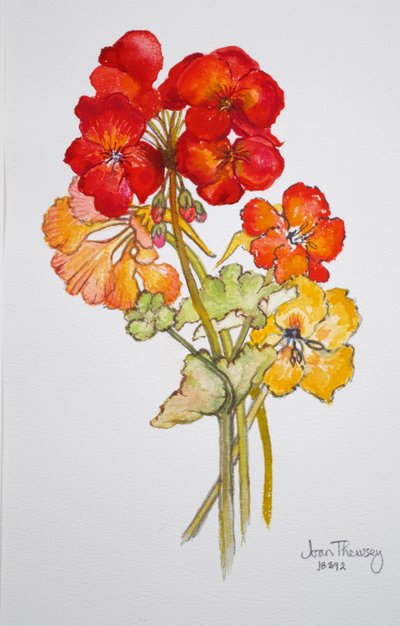 Géranium et capucines, 2014 - Joan Thewsey