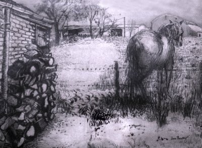 Cheval reposant sa jambe - Joan Thewsey