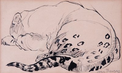 Croquis, léopard, zoo de Londres - Joan Thewsey