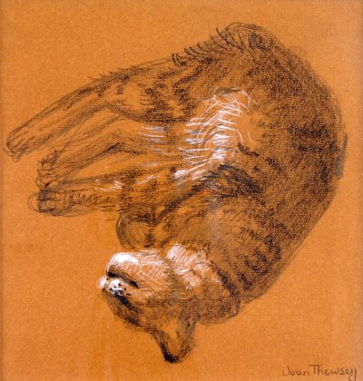 Chat tigré dormant - Joan Thewsey